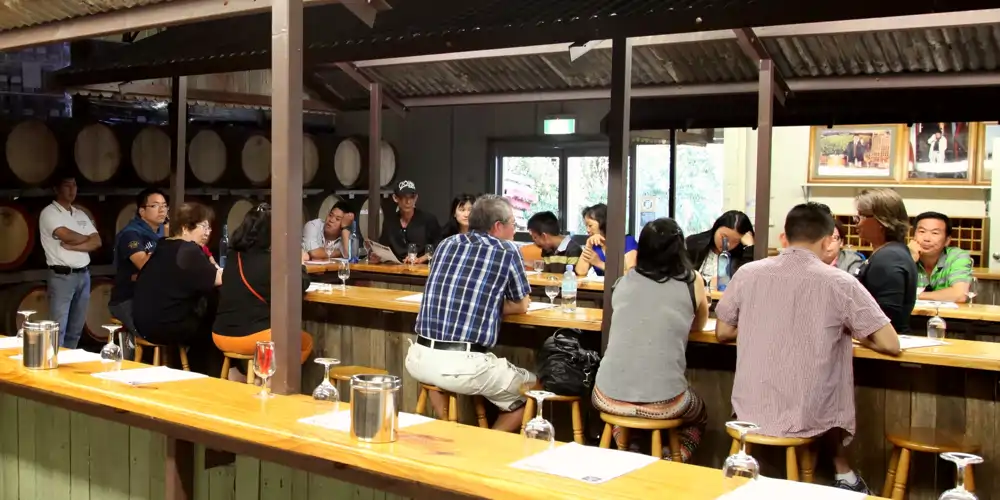 group on organised wine tour to avoid driving after wine tasting