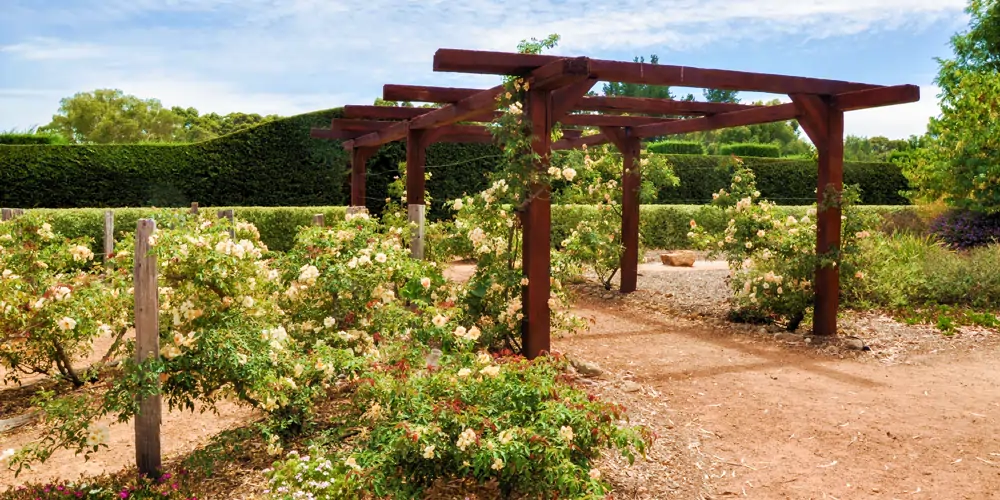 A sunny day highlights the vibrant floral gardens and terraced entrance of the Amaze’n hedge maze in the Margaret River region, a popular attraction nestled within one of the renowned Australian wine regions, though not in the Australian state with the most wineries